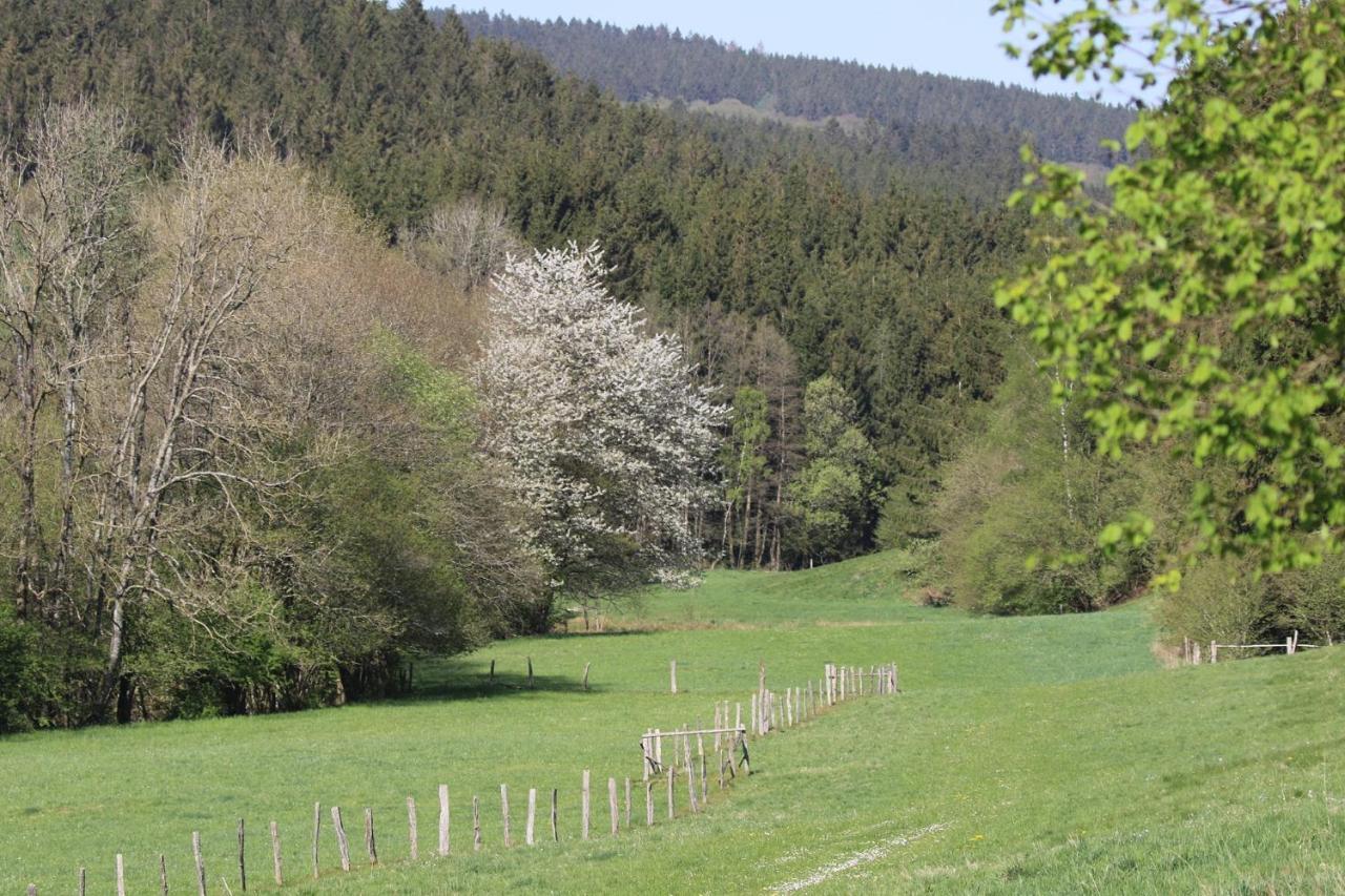 Le Clos Du Cerf - Le Sous-Bois Stoumont Bagian luar foto