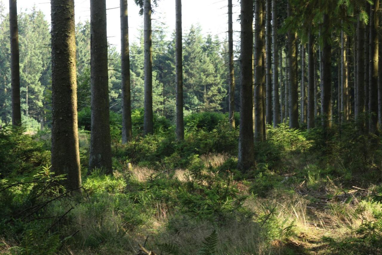 Le Clos Du Cerf - Le Sous-Bois Stoumont Bagian luar foto
