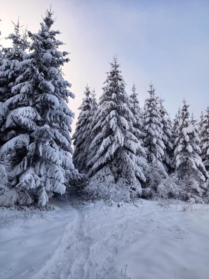 Le Clos Du Cerf - Le Sous-Bois Stoumont Bagian luar foto